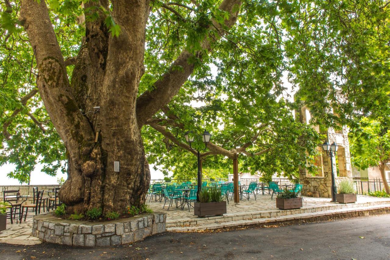 «Σκλάβας Χνάρι» Παραδοσιακός Ξενώνας Apartment Magouliana Екстериор снимка